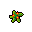 star herb